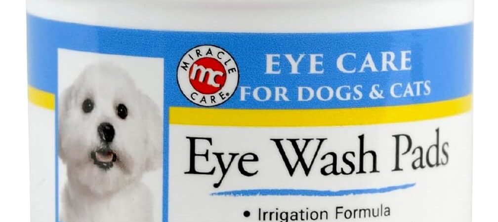 Cat Eye Problems: Common Signs, Causes, and What Actually Helps