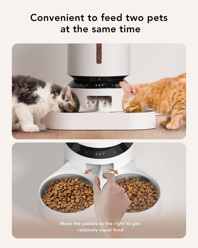 Best Cat Feeder for Two Cats: What to Look For
