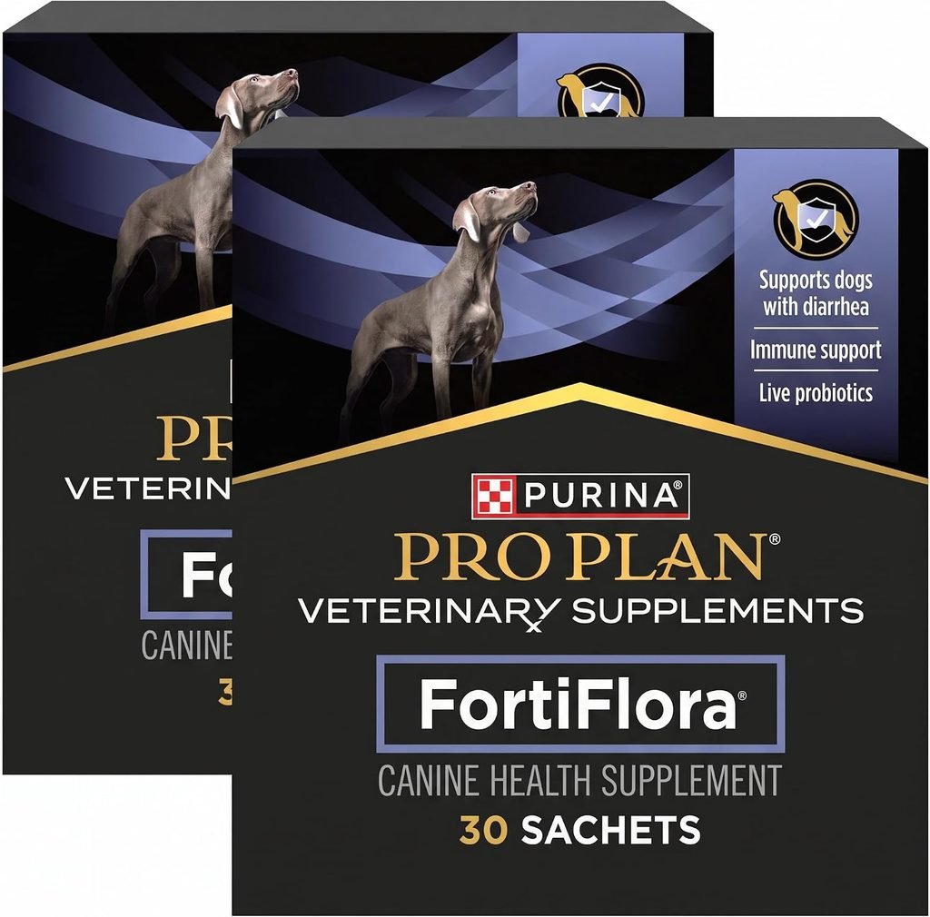 Best Probiotics for Dogs: What Actually Works
