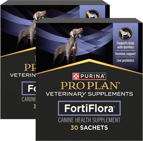 Best Probiotics for Dogs: What Actually Works