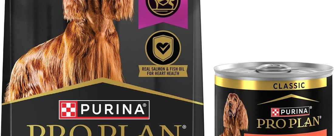Best Dog Food for Sensitive             Stomach: What Actually Helps
