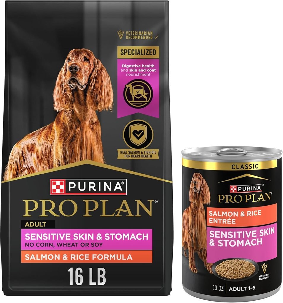 Best Dog Food for Sensitive             Stomach: What Actually Helps
