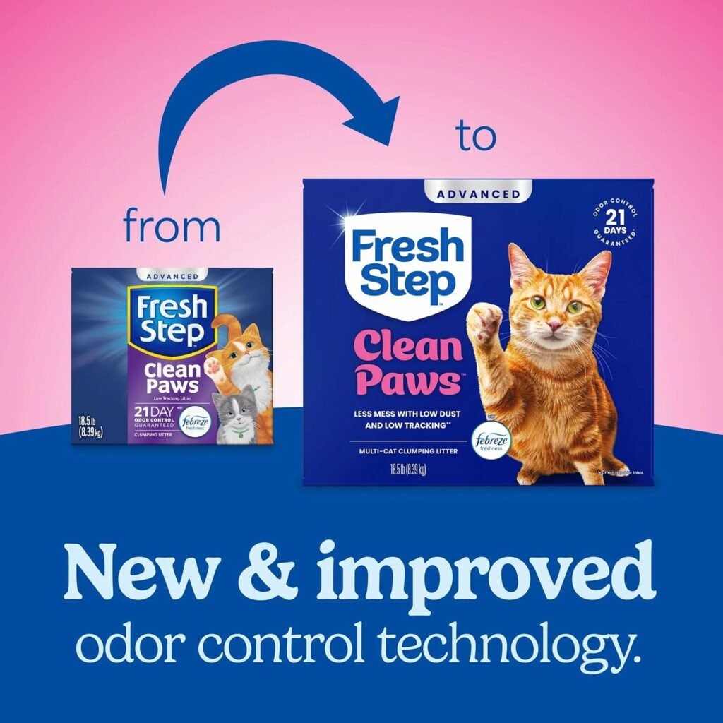 Cat Litter That Doesn’t Track Everywhere: What Actually Works