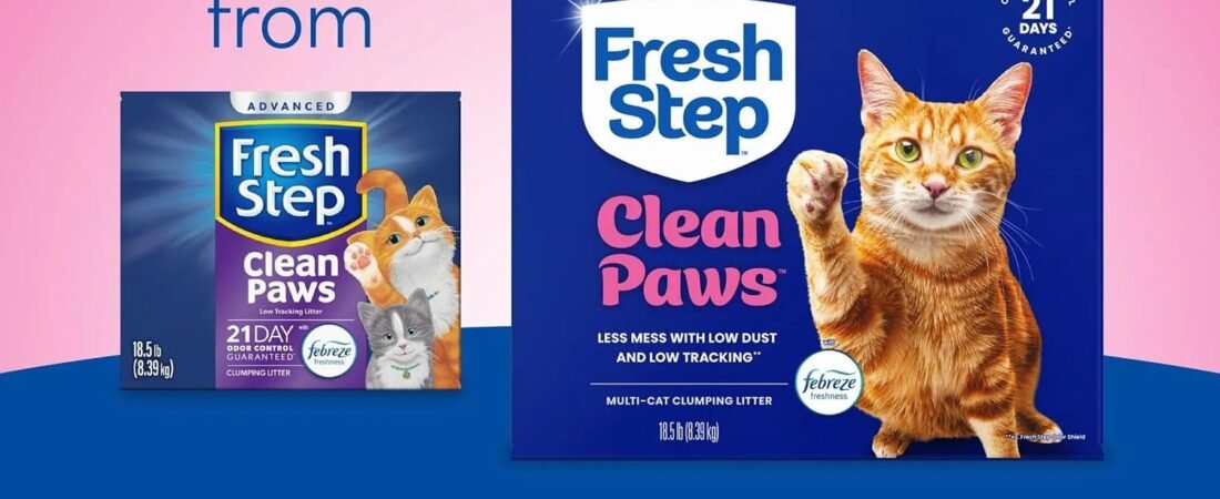 Cat Litter That Doesn’t Track Everywhere: What Actually Works